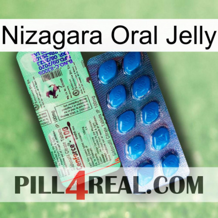 Nizagara Oral Jelly new02